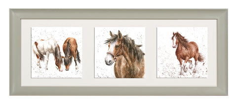 Wrendale  - A Trio of Framed Cards - Horses
