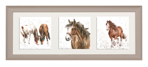 Wrendale  - A Trio of Framed Cards - Horses