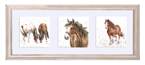 Wrendale  - A Trio of Framed Cards - Horses