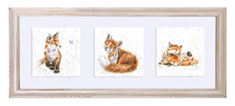 Wrendale  - A Trio of Framed Cards - Foxes