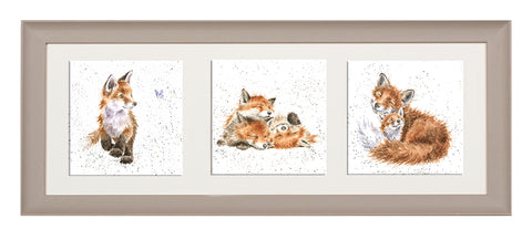 Wrendale  - A Trio of Framed Cards - Foxes