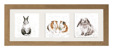 Wrendale  - A Trio of Framed Cards - Rabbits and Guinea Pigs