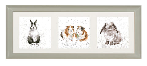 Wrendale  - A Trio of Framed Cards - Rabbits and Guinea Pigs