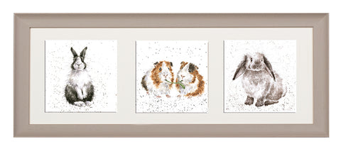 Wrendale  - A Trio of Framed Cards - Rabbits and Guinea Pigs