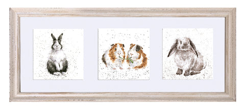 Wrendale  - A Trio of Framed Cards - Rabbits and Guinea Pigs