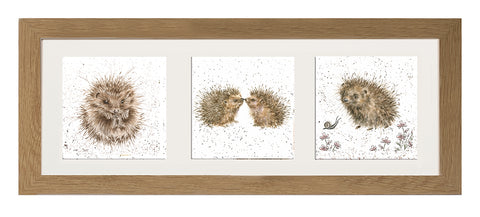 Wrendale  - A Trio of Framed Cards - Hedgehogs