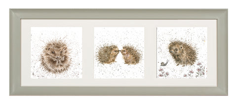 Wrendale  - A Trio of Framed Cards - Hedgehogs