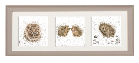 Wrendale  - A Trio of Framed Cards - Hedgehogs