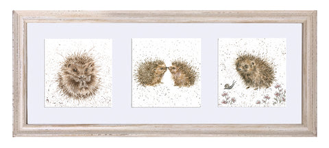 Wrendale  - A Trio of Framed Cards - Hedgehogs