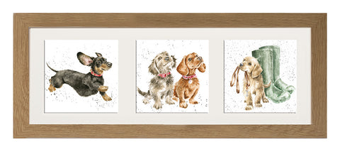 Wrendale  - A Trio of Framed Cards - Dogs