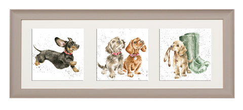 Wrendale  - A Trio of Framed Cards - Dogs