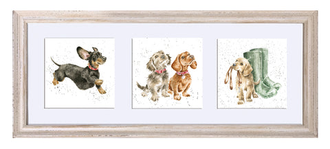 Wrendale  - A Trio of Framed Cards - Dogs