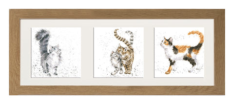 Wrendale  - A Trio of Framed Cards - Cats