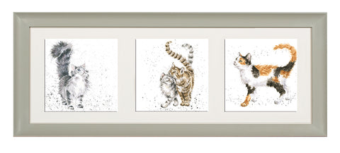 Wrendale  - A Trio of Framed Cards - Cats