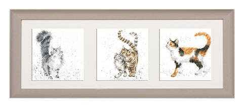 Wrendale  - A Trio of Framed Cards - Cats