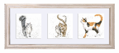 Wrendale  - A Trio of Framed Cards - Cats