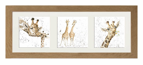 Wrendale  - A Trio of Framed Cards - Giraffes