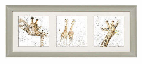 Wrendale  - A Trio of Framed Cards - Giraffes