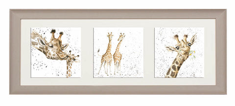 Wrendale  - A Trio of Framed Cards - Giraffes