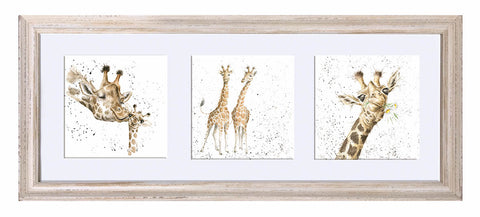 Wrendale  - A Trio of Framed Cards - Giraffes
