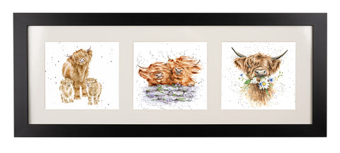 Wrendale  - A Trio of Framed Cards - Highland Cow & Calf, Blown Away Highland Cows & Daisy Coo