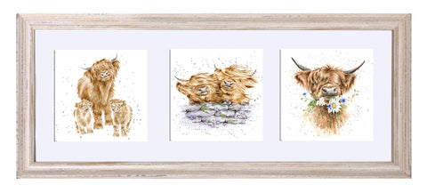 Wrendale  - A Trio of Framed Cards - Highland Cow & Calf, Blown Away Highland Cows & Daisy Coo