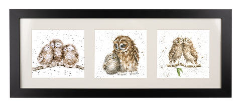 Wrendale  - A Trio of Framed Cards - Three Owls, Owl-ways Owls & Two Owls