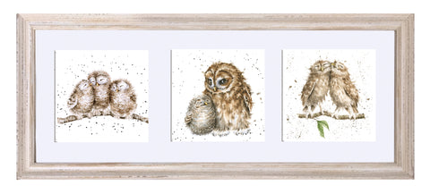 Wrendale  - A Trio of Framed Cards - Three Owls, Owl-ways Owls & Two Owls