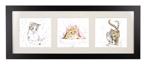 Wrendale  - A Trio of Framed Cards - Kitten with Ladybird, Kitten with Blanket & Two Cats