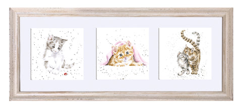 Wrendale  - A Trio of Framed Cards - Kitten with Ladybird, Kitten with Blanket & Two Cats