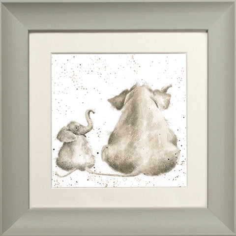 Wrendale - Framed Greeting Cards - Zoology Collection - 1
