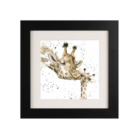 Wrendale - Framed Greeting Cards - Zoology Collection - 1