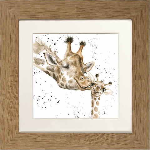 Wrendale - Framed Greeting Cards - Zoology Collection - 1