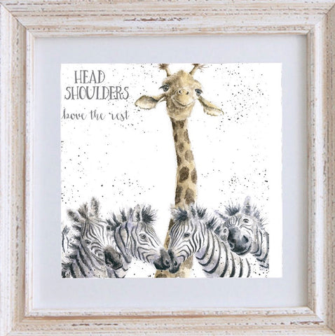 Wrendale - Framed Greeting Cards - Zoology Collection - 2