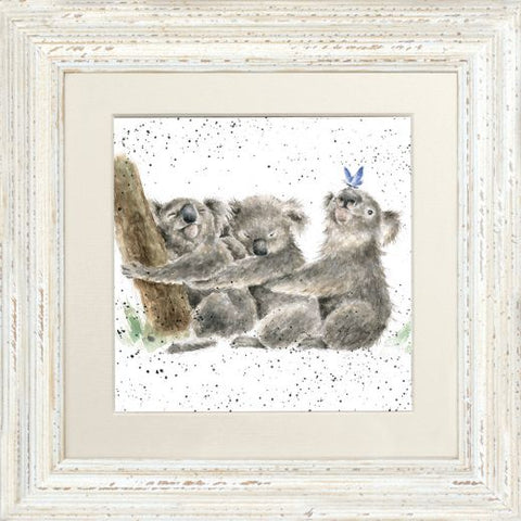Wrendale - Framed Greeting Cards - Zoology Collection - 2