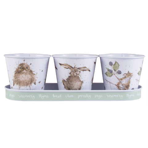 WRENDALE HERB POTS & TRAY
