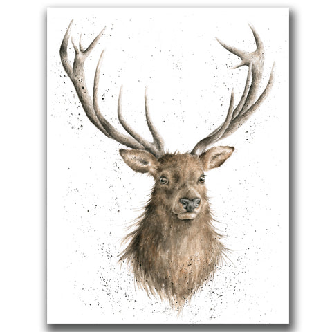 Wrendale - Limited Edition Print - Portrait of a Stag