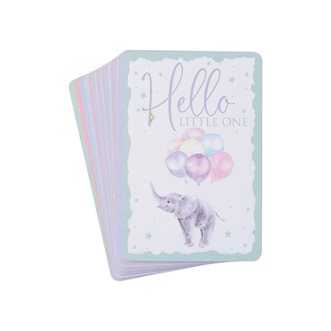 Wrendale - Little Wren Baby Collection - Milestone Cards