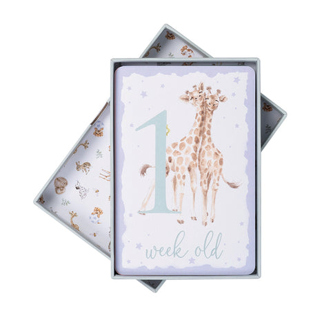 Wrendale - Little Wren Baby Collection - Milestone Cards