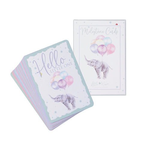 Wrendale - Little Wren Baby Collection - Milestone Cards