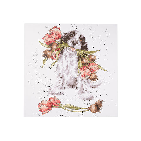 Wrendale - Craft Collection - Paint By Numbers - Blooming with Love Spaniel with Tulips