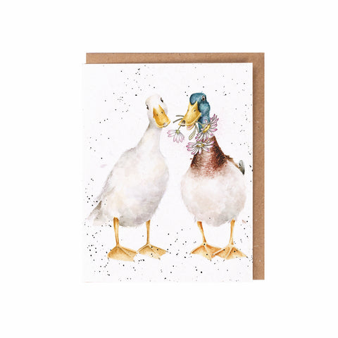 Wrendale - Seed Cards