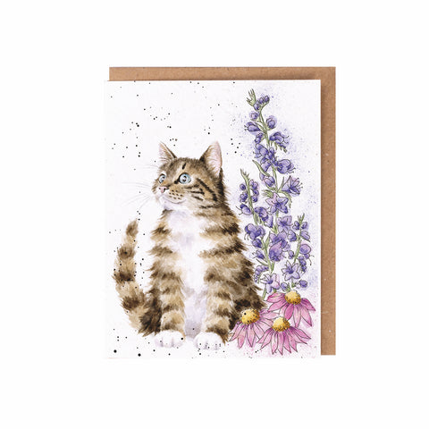 Wrendale - Seed Cards
