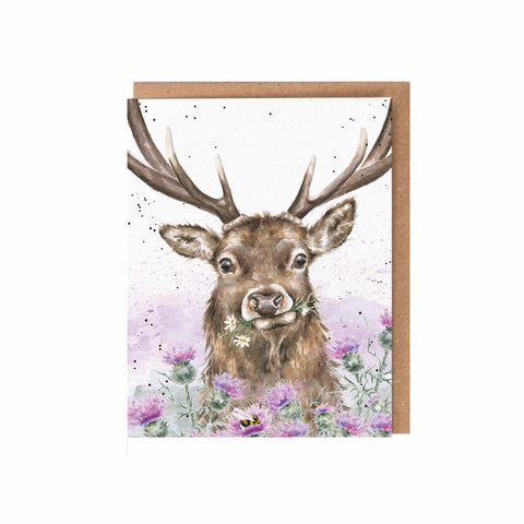 Wrendale - Seed Cards