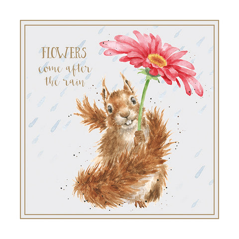 Wrendale - Greeting Cards - Words of Wisdom Collection