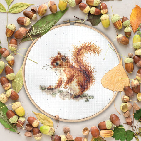 Bothy Threads - Wrendale - Cross Stitch Kit - Acorns - Squirrel