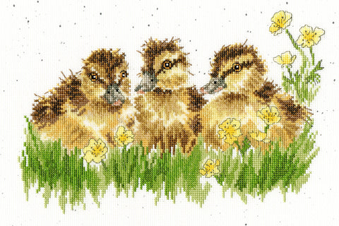 Bothy Threads - Wrendale - Cross Stitch Kit - Buttercup - Ducklings