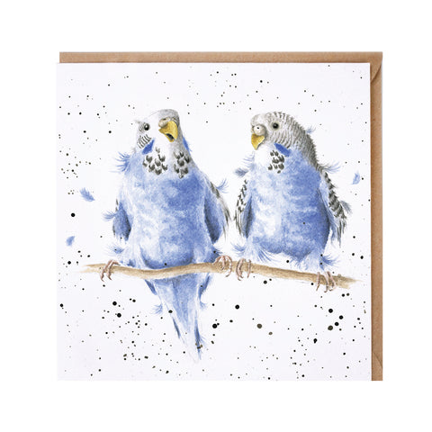 Wrendale - Greeting Cards - The Zoology Collection