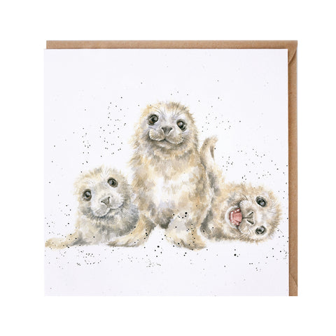Wrendale - Greeting Cards - The Zoology Collection