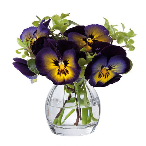 Dartington Crystal - Florabundance - Pansy Vase